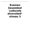 Uitwerking examen keuzedeel 'culturele diversiteit'