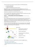 Lecture 7 Oncogenesis: TGF-b signaling, Tumor Invasion and Angiogenesis