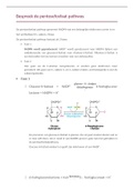 Samenvatting van alle oude en mogelijke examenvragen en uitwerking van alle oefensessies van het volledige vak metabolisme (behaald resultaat 16/20)