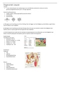 Samenvatting FH 1.4 acute aandoeningen