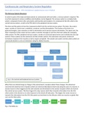 BTEC Level 3 Applied Science Unit 9 Assignment A - Understand the interrelationship and nervous control of the cardiovascular and respiratory systems