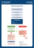 Bradycardia-Algorithm-2021-Frcem-Resources.pdf