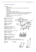 Samenvatting splanchnologie