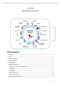 Afstuderen: Case study + feedback