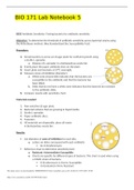 lab_5.questions and answers latest 2023  2024 (verified answers)