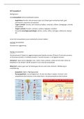 Samenvatting  AFP (KT1AFP-LP4)