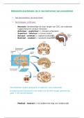 Biologische Psychologie I, hoofdstuk 2 (VUB)