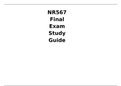 NR567 Final Exam Study Guide