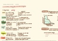 C.2 Standard Level Biology Notes & Exam Prep : Ecosystems