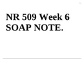 NR 509 Week 6 SOAP NOTE