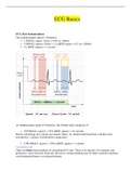 How to read EKG / EKG Basics