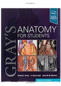 Gray’s Anatomy for Students 4th Edition Drake Test Bank