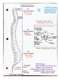 Full Basic Anatomy Guide 