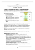 Samenvatting Hoorcolleges Analyse 1 (SOW-PWB1200) Studiejaar 2021-2022