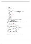 Biol 214 Exam 2 Review Notes 