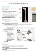 Summary Bone structure and function