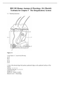 BIO 105 Human Anatomy & Physiology, 10e (Marieb) Testbank for Chapter 5   The Integumentary System