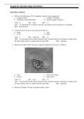 Test Bank for Microbiology The Human Experience (Second Edition)