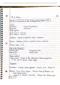 Chapter 5 Notes Integumentary System BSC 250 