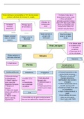  NURS 3365 CONCEPT MAP