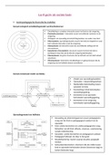 Samenvatting les gezin als sociale basis