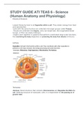 STUDY GUIDE ATI TEAS 6 - Science (Human Anatomy and Physiology)