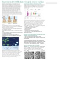 Cell Biology Synaptic Vesicle Cycling