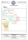 Answer-Key-Of-Image-Based-Mock-Test.pdf