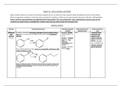 Ethers & Epoxides Cheat Sheet Guide