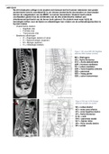 Tentamenstof Medsiche vakken MBRT periode 5