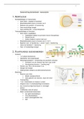 Samenvatting monocotylen