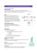 Samenvatting moleculaire biologie (zonder zelfstudies) 