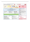 MSK4-lumboplevisch-theorie