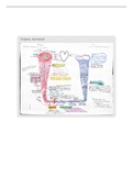 Nephron and Blood vessels 