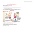 Fatty Acid Catabolism