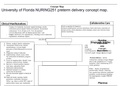 University of Florida NURING251 preterm delivery concept map. 