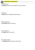 Cranial Nerves, Cranial Nerves