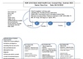 BAH Concept map keiser university (NUR1211C)