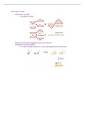 Need Help in Chem 110