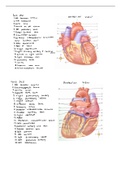 Bundle Doc Image