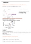 DNA Hybridisation