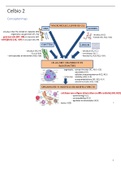 Moleculaire celbiologie 2