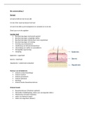 Samenvatting huid, erytrocyten en het lymfestelsel