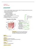 Overview of ch 8