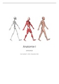 Samenvatting algemene anatomie