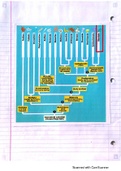 Invertebrates Lecture Notes