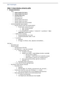 Hfdst-7-virale-infecties-huid-syfilis