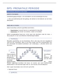 samenvatting BPS prenatale periode