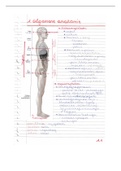 Les 1 algemene anatomie 2022/2023