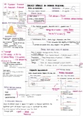 IEB Physical Sciences: paper 2 Chemistry- energy changes, rates and chemical equilibrium SUPER SUMMARIZED